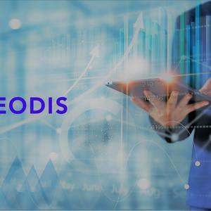 Man working on supply chain management with geodis logo