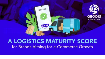 A Logistics Maturity Score for Brands Aiming for e-Commerce Growth
