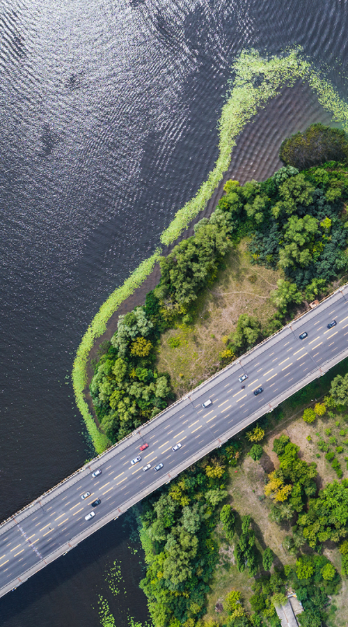 Route sur une île arborée